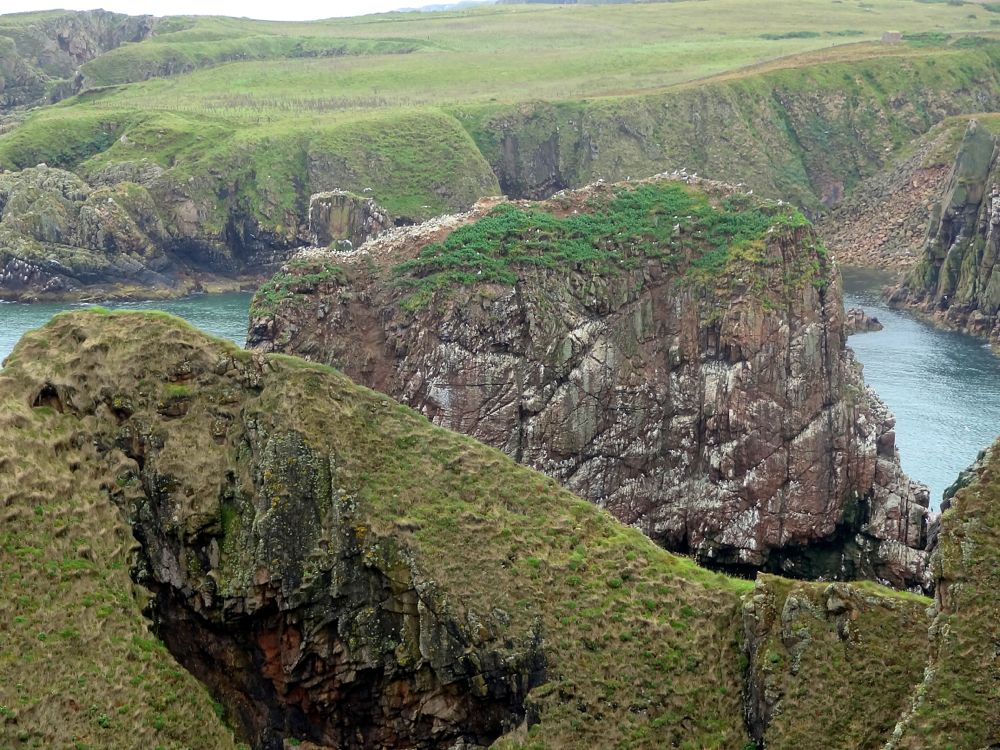 Schottland Longhaven Cliffs